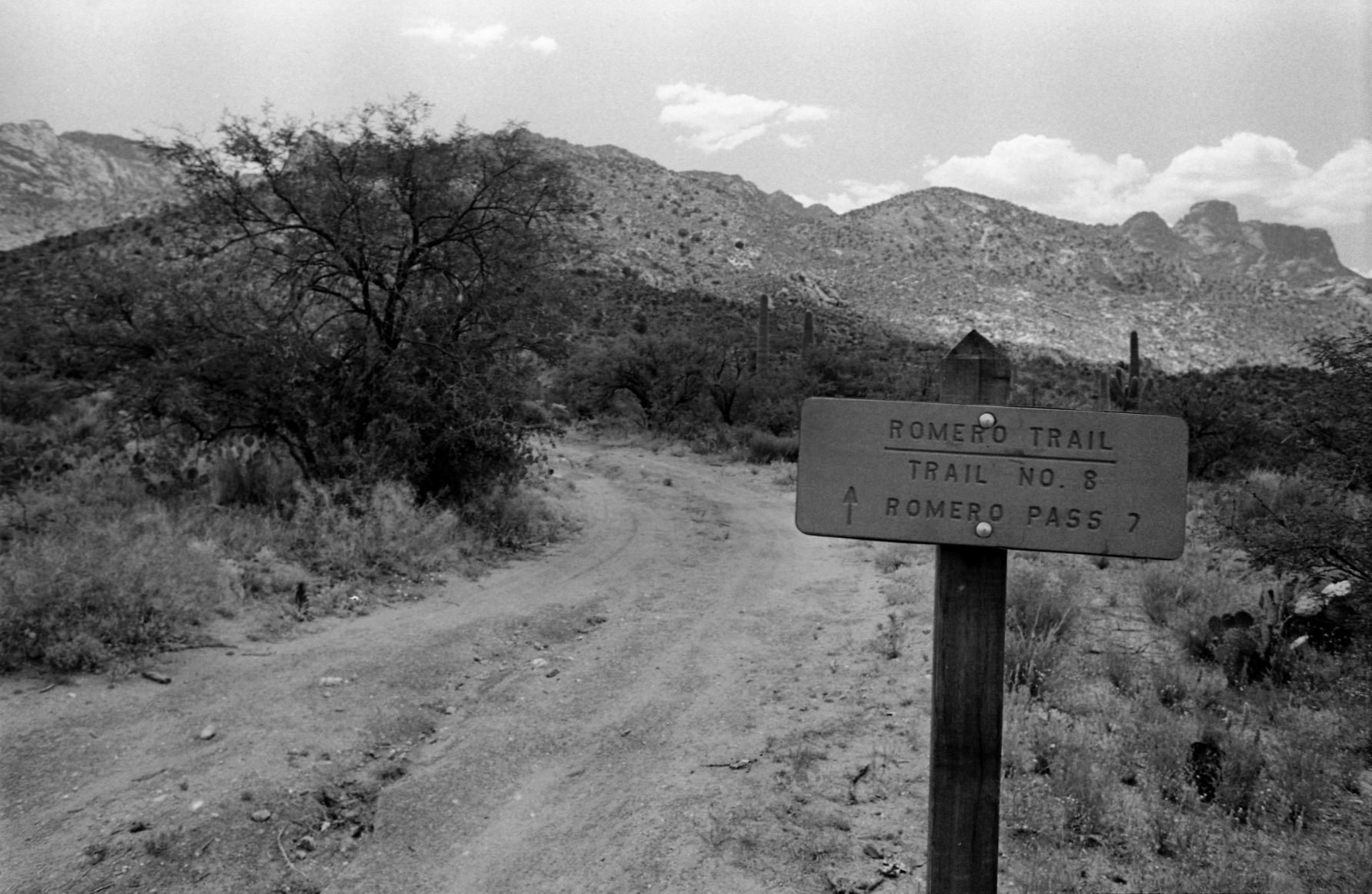 Rancho Romero (Catalina State Park)